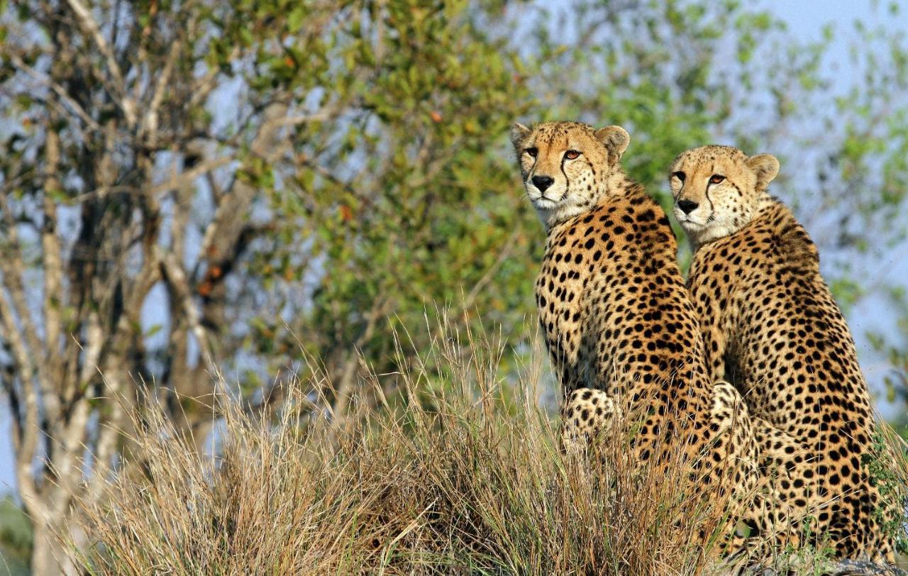Jock Safari Lodge Skukuza Exterior photo